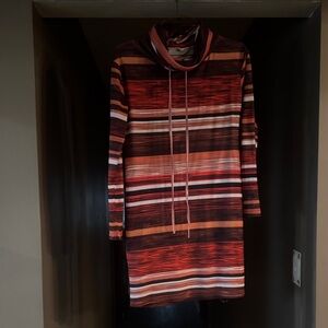 Striped Multicolor Turtleneck Dress